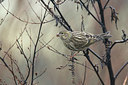 BUITEN BEELD Foto: 401092