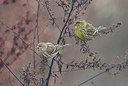 BUITEN BEELD Foto: 401093