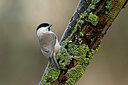 BUITEN BEELD Foto: 401103