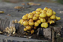 BUITEN BEELD Foto: 401551