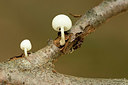 BUITEN BEELD Foto: 401560