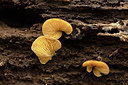 BUITEN BEELD Foto: 401593