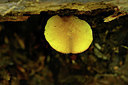 BUITEN BEELD Foto: 401594