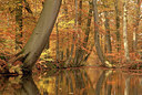 BUITEN BEELD Foto: 401656
