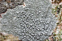 BUITEN BEELD Foto: 401789