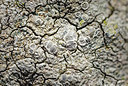 BUITEN BEELD Foto: 401901