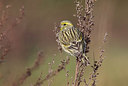 BUITEN BEELD Foto: 401951