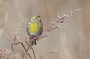 BUITEN BEELD Foto: 401952