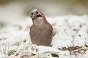 BUITEN BEELD Foto: 401978