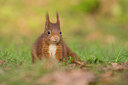 BUITEN BEELD Foto: 402031