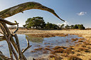 BUITEN BEELD Foto: 402358