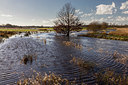 BUITEN BEELD Foto: 402367