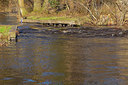 BUITEN BEELD Foto: 402374