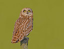 BUITEN BEELD Foto: 402395