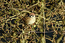 BUITEN BEELD Foto: 402422