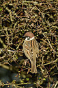 BUITEN BEELD Foto: 402451