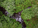 BUITEN BEELD Foto: 402485