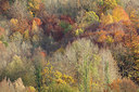 BUITEN BEELD Foto: 402652