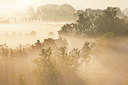 BUITEN BEELD Foto: 402653