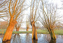 BUITEN BEELD Foto: 402780