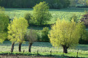 BUITEN BEELD Foto: 402794