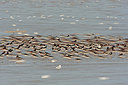 BUITEN BEELD Foto: 402869