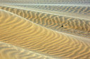 BUITEN BEELD Foto: 402898