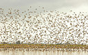 BUITEN BEELD Foto: 403043