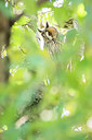 BUITEN BEELD Foto: 403055