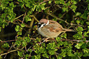 BUITEN BEELD Foto: 403107