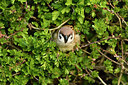 BUITEN BEELD Foto: 403123