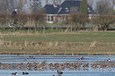 BUITEN BEELD Foto: 403160