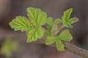 BUITEN BEELD Foto: 403196