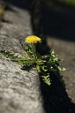 BUITEN BEELD Foto: 403247
