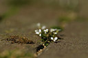 BUITEN BEELD Foto: 403249