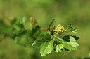 BUITEN BEELD Foto: 403252