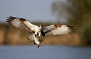 BUITEN BEELD Foto: 403504