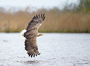 BUITEN BEELD Foto: 403505