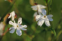 BUITEN BEELD Foto: 403580