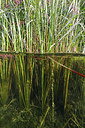 BUITEN BEELD Foto: 403589