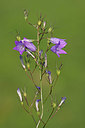 BUITEN BEELD Foto: 403600
