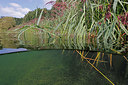 BUITEN BEELD Foto: 403608