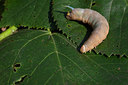 BUITEN BEELD Foto: 403635