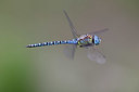 BUITEN BEELD Foto: 403660