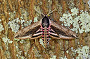 BUITEN BEELD Foto: 403683