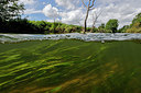 BUITEN BEELD Foto: 403723
