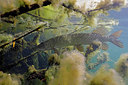 BUITEN BEELD Foto: 403800