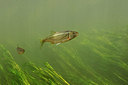 BUITEN BEELD Foto: 403802