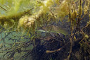 BUITEN BEELD Foto: 403858