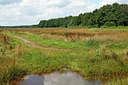 BUITEN BEELD Foto: 403892